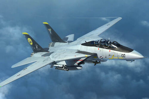 WW3 - Trumpeter - 1:144 - Grumman F-14D Tomcat - TRU03919